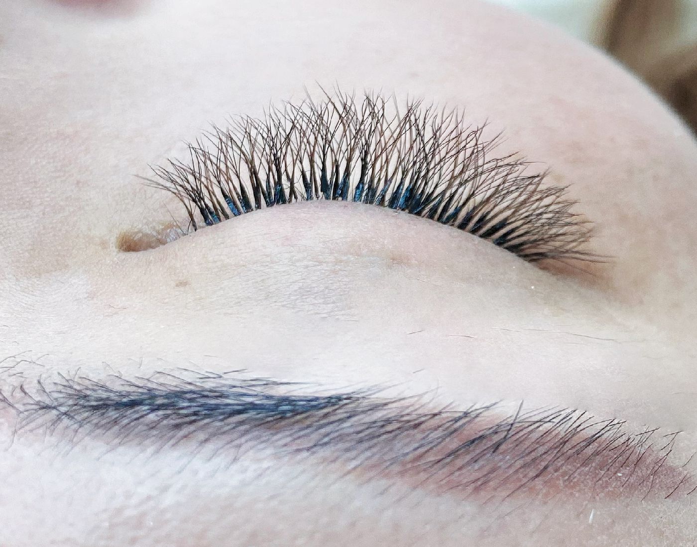 特製五葉草+YY人魚mix